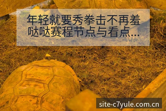 年轻就要秀拳击不再羞哒哒赛程节点与看点分析深度前瞻 - c7娱乐