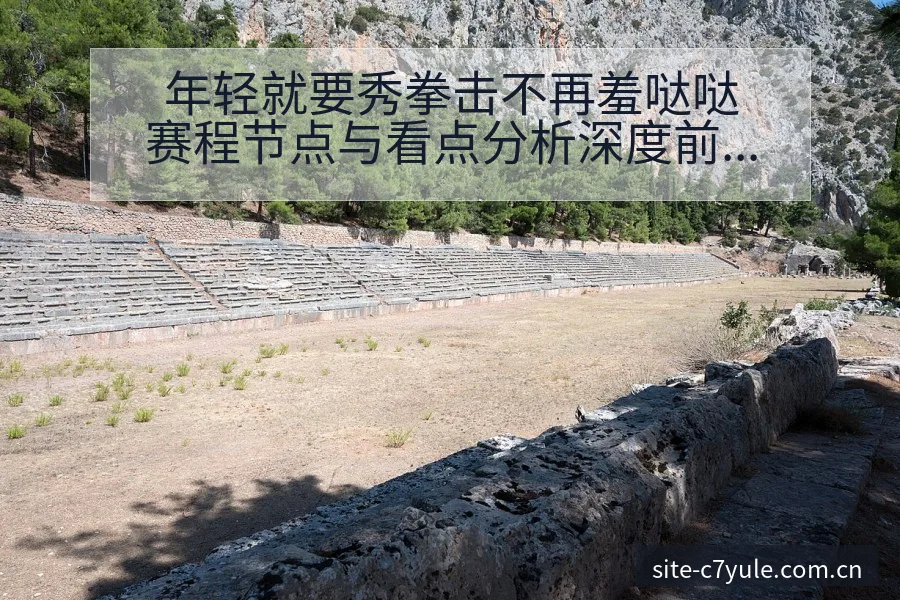 年轻就要秀拳击不再羞哒哒赛程节点与看点分析深度前瞻 - c7娱乐